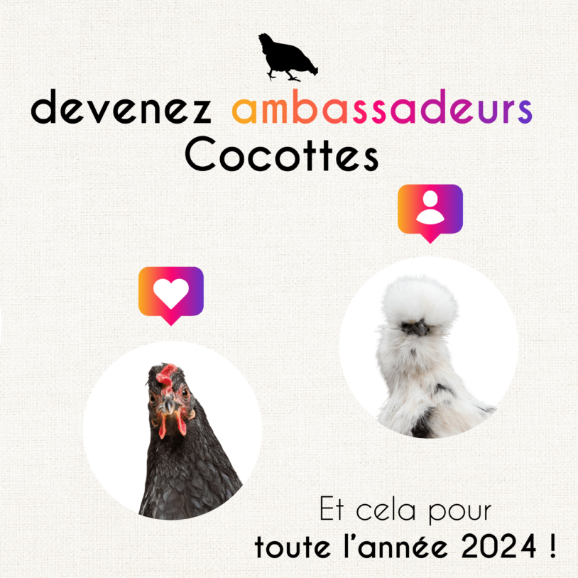 Devenez ambassadeur·rice·s Cocottes !