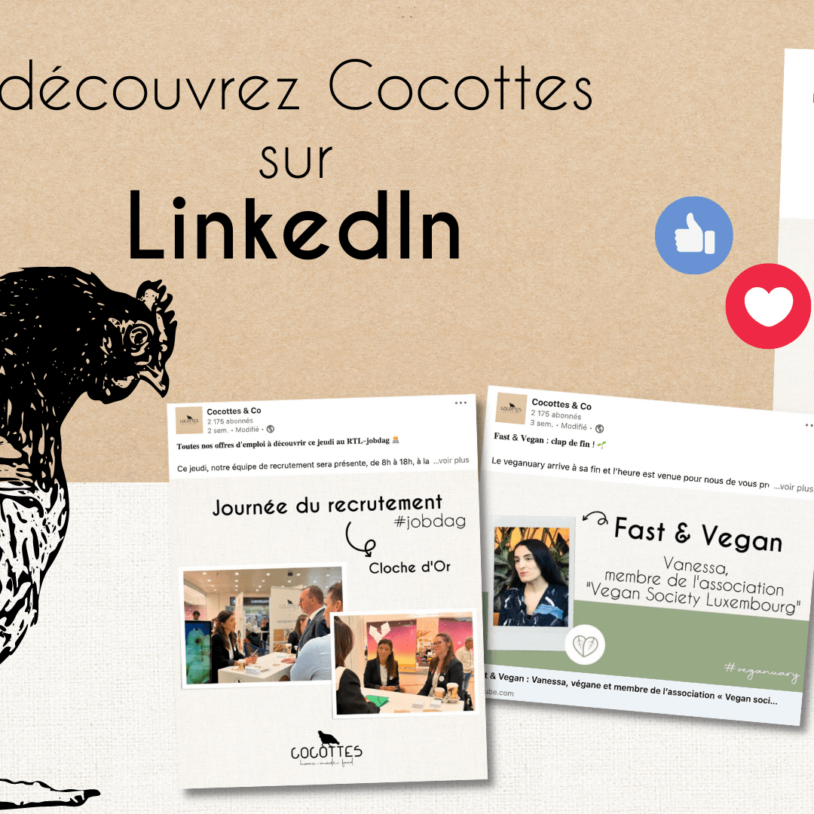 COCOTTES & Co sur LinkedIn : ne perdez pas une miette de notre actualité !