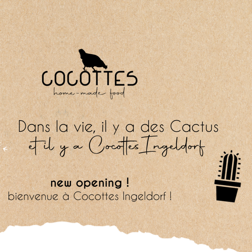Bienvenue à COCOTTES Ingeldorf !